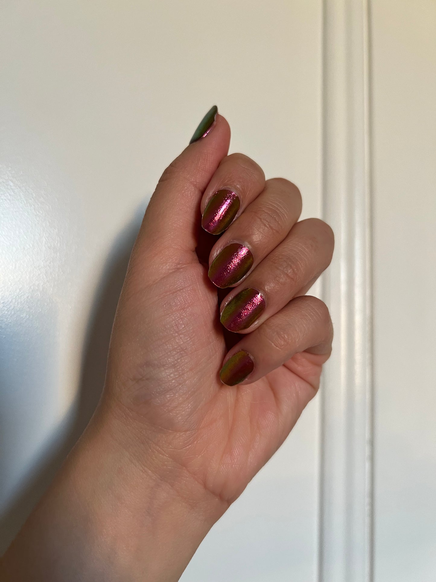 Tropical Sunset Chameleon DIY Semicured Gel Nail Sticker Kit